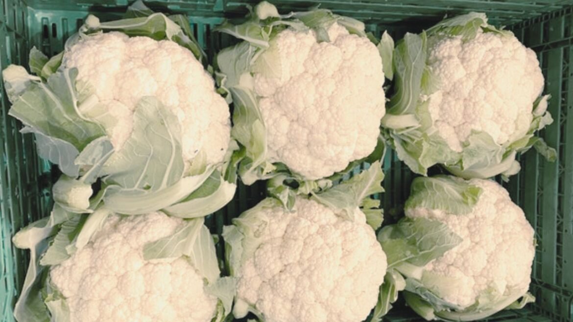 Cauliflower Shortage