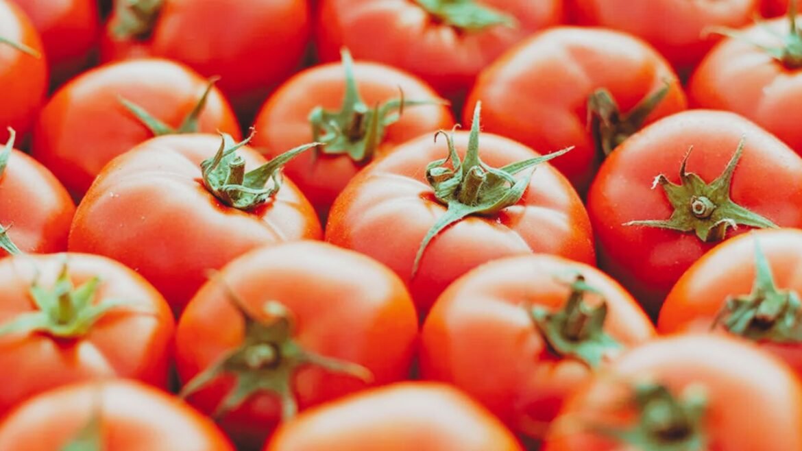 Tomato Shortage